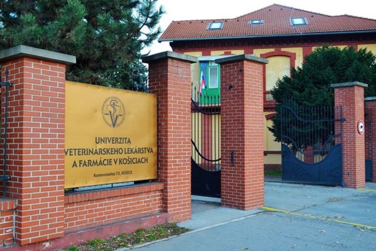Университет ветеринарной медицины и фармацевтики